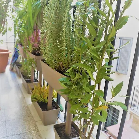 Apartamento Welcoming